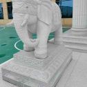 山东 白麻花岗岩动物异形石雕-大象