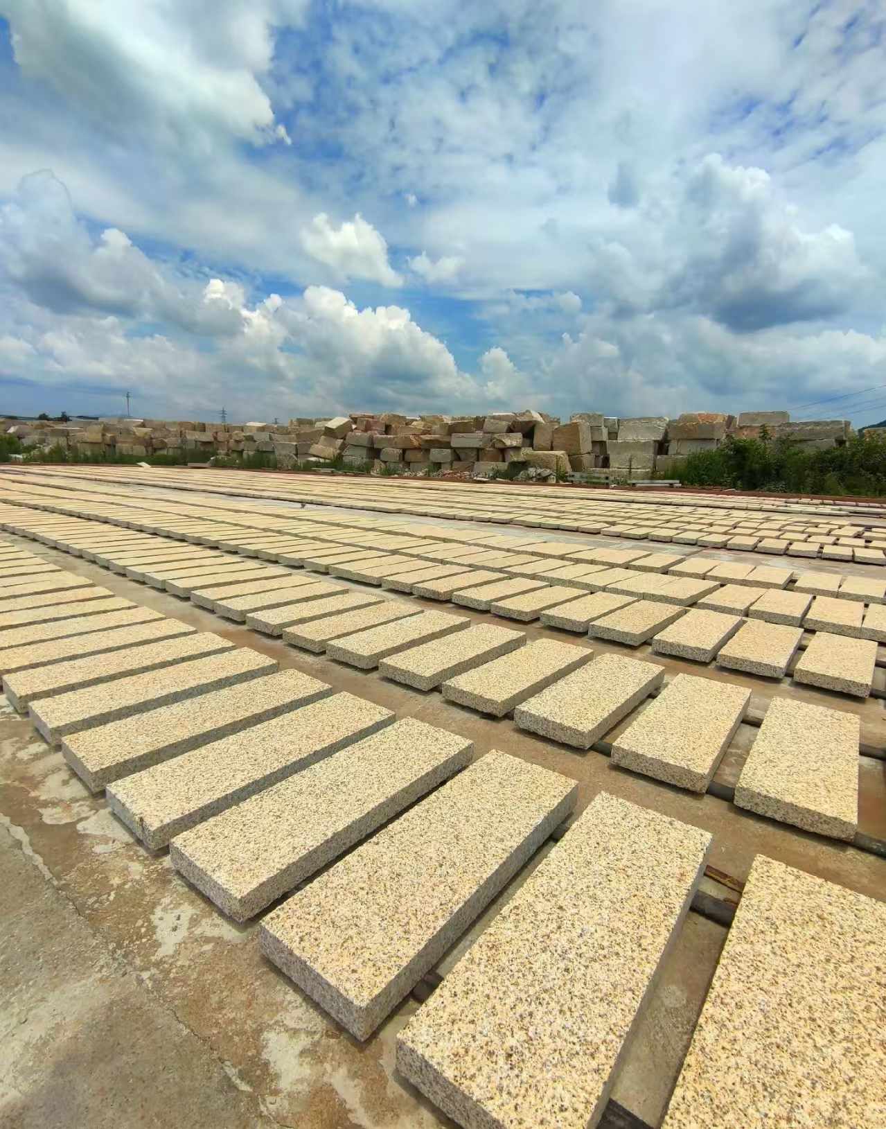山东 黄金麻荔枝面花岗岩石材地铺石防护中