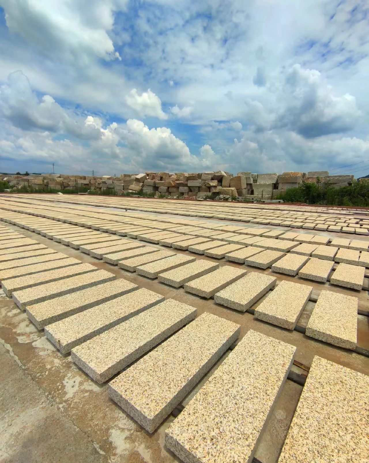 山东 黄金麻花岗岩荔枝面地铺石防护中